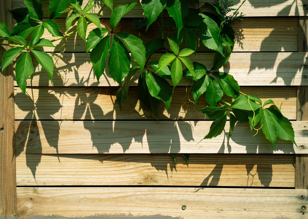 Zo kies je de juiste schutting voor jouw tuin